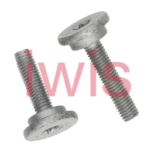 61253 iwis Motorsysteme