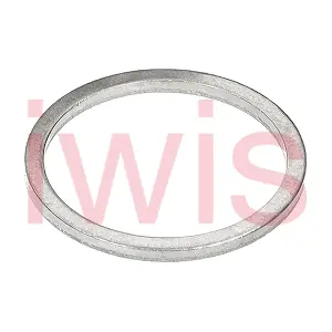 59302 iwis Motorsysteme