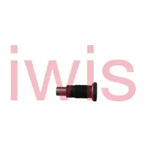 59409 iwis Motorsysteme