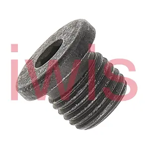 60297 iwis Motorsysteme