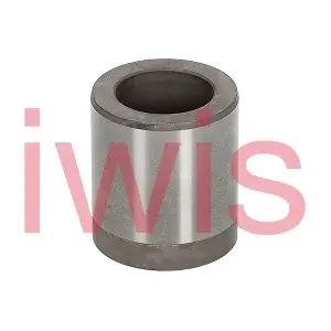 60398 iwis Motorsysteme