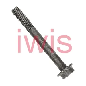 iwis Motorsysteme 59791