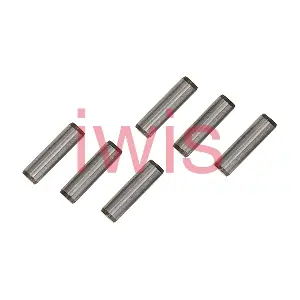 61380 iwis Motorsysteme