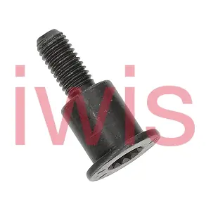 60216 iwis Motorsysteme