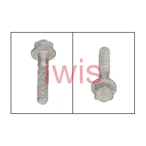 59675 iwis Motorsysteme
