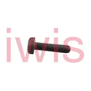 60205 iwis Motorsysteme