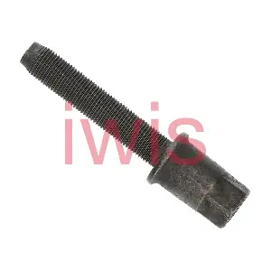 60351 iwis Motorsysteme
