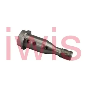 59374 iwis Motorsysteme