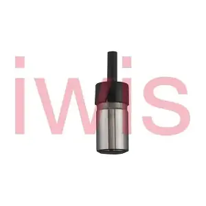 60242 iwis Motorsysteme