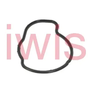 70030 iwis Motorsysteme
