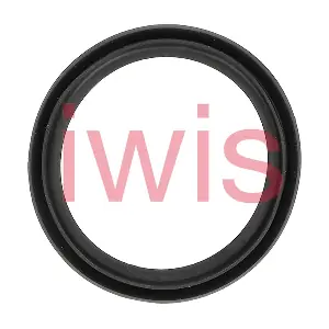 60372 iwis Motorsysteme