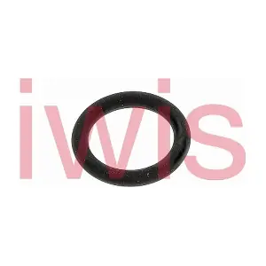 60354 iwis Motorsysteme