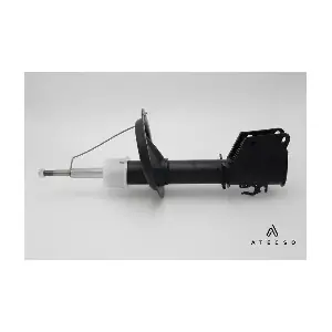 AMT00132 ATECSO