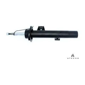 AMT00371 ATECSO