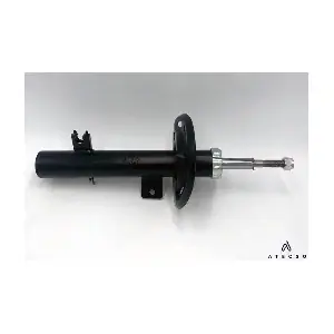 AMT00284 ATECSO