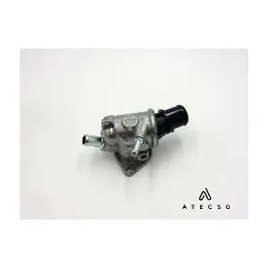 TRM00171 ATECSO