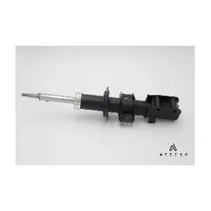 AMT00105 ATECSO
