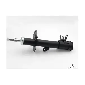 AMT00133 ATECSO