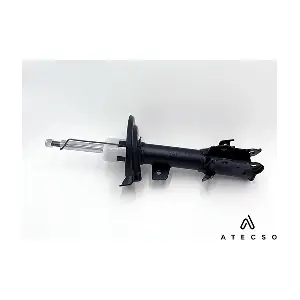 AMT00395 ATECSO