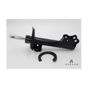 AMT00137 ATECSO