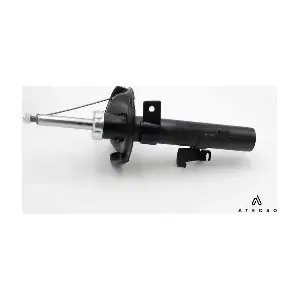 AMT00217 ATECSO