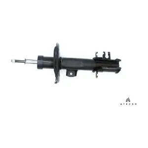 AMT00343 ATECSO