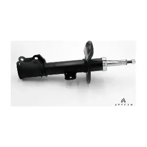 AMT00196 ATECSO