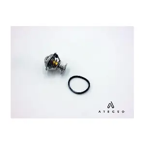 TRM00189 ATECSO
