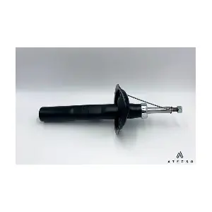 AMT00282 ATECSO
