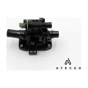 TRM00113 ATECSO