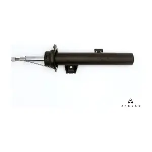 AMT00370 ATECSO