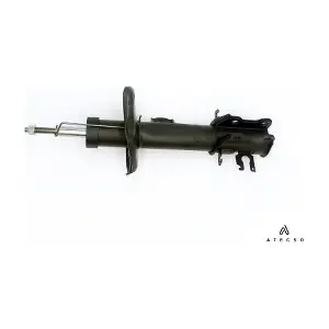 AMT00344 ATECSO