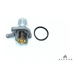 TRM00269 ATECSO