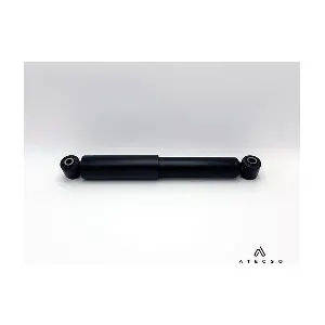 AMT00254 ATECSO