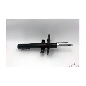 AMT00275 ATECSO