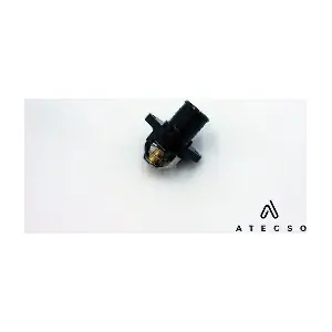 TRM00111 ATECSO