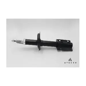 AMT00160 ATECSO