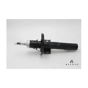AMT00140 ATECSO