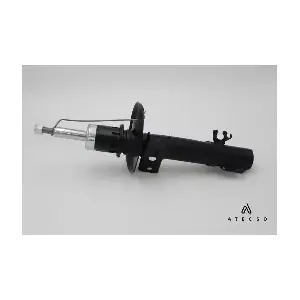 AMT00155 ATECSO