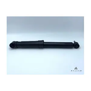 AMT00317 ATECSO