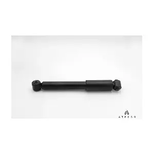 AMT00198 ATECSO