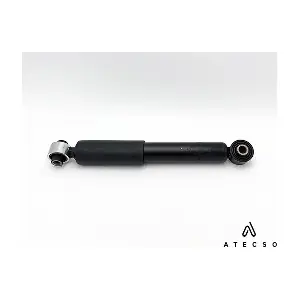 AMT00296 ATECSO
