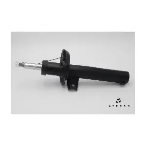 AMT00149 ATECSO