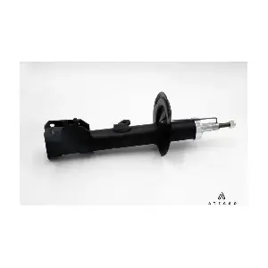 AMT00134 ATECSO