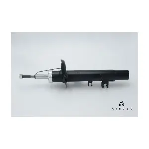 AMT00119 ATECSO