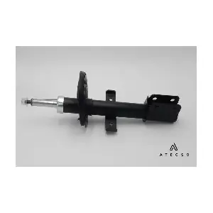 AMT00148 ATECSO