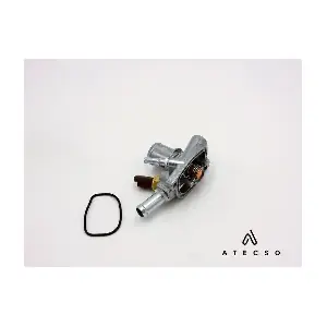 TRM00190 ATECSO