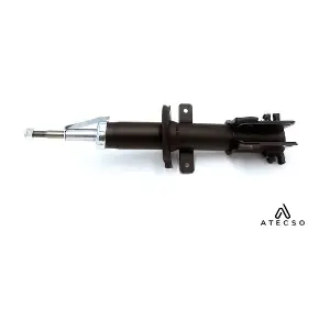 AMT00446 ATECSO