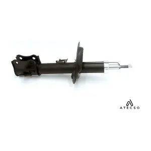 AMT00429 ATECSO