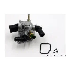TRM00107 ATECSO